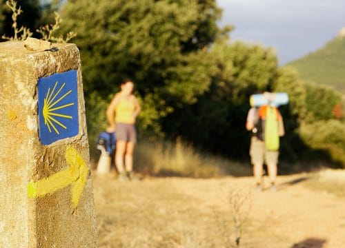 El Camino de Santiago Francés