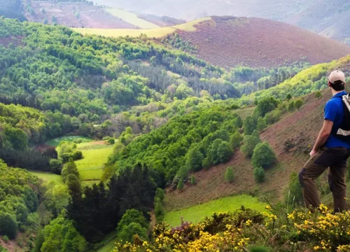 Camino Primitivo desde Fonsagrada (7 días)