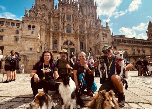 Camino Francés desde Sarria (6 días)