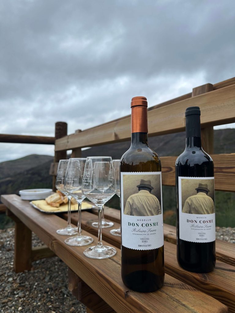 Cata de vino durante una actividad para campers en Galicia