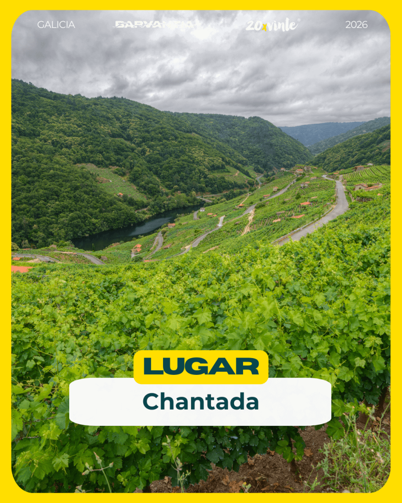Chantada en caravana entre viñedos de la Ribeira Sacra