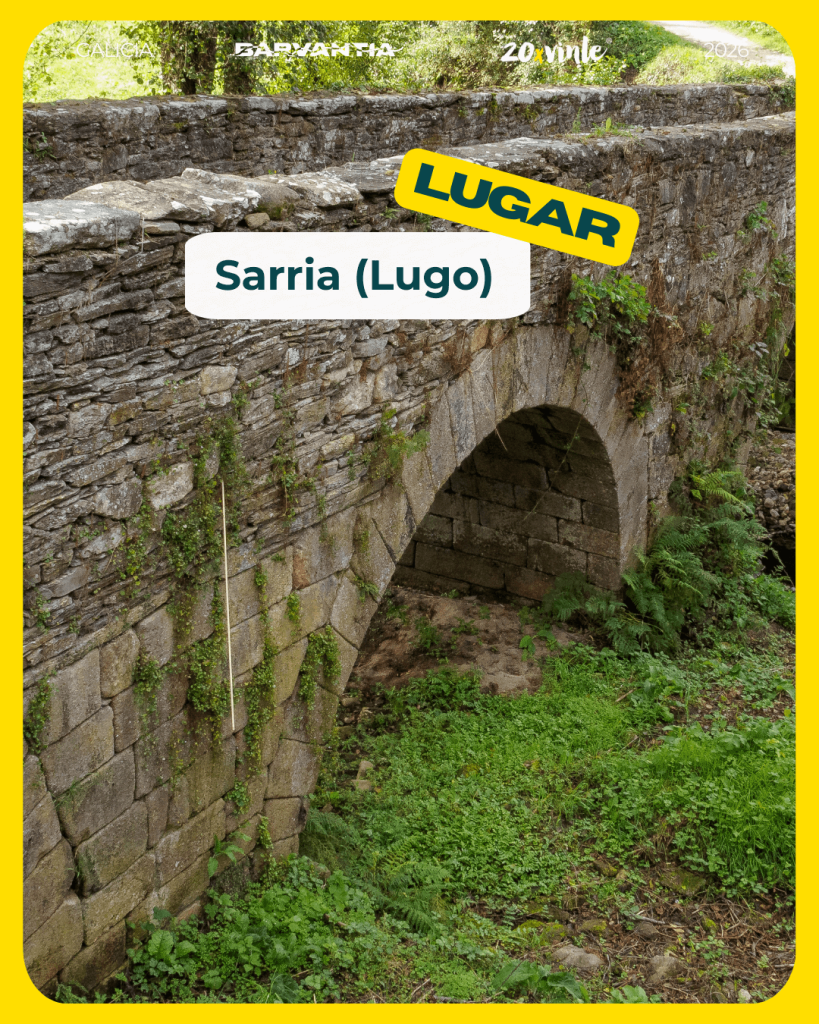 Ourense en autocaravana – Centro histórico iluminado