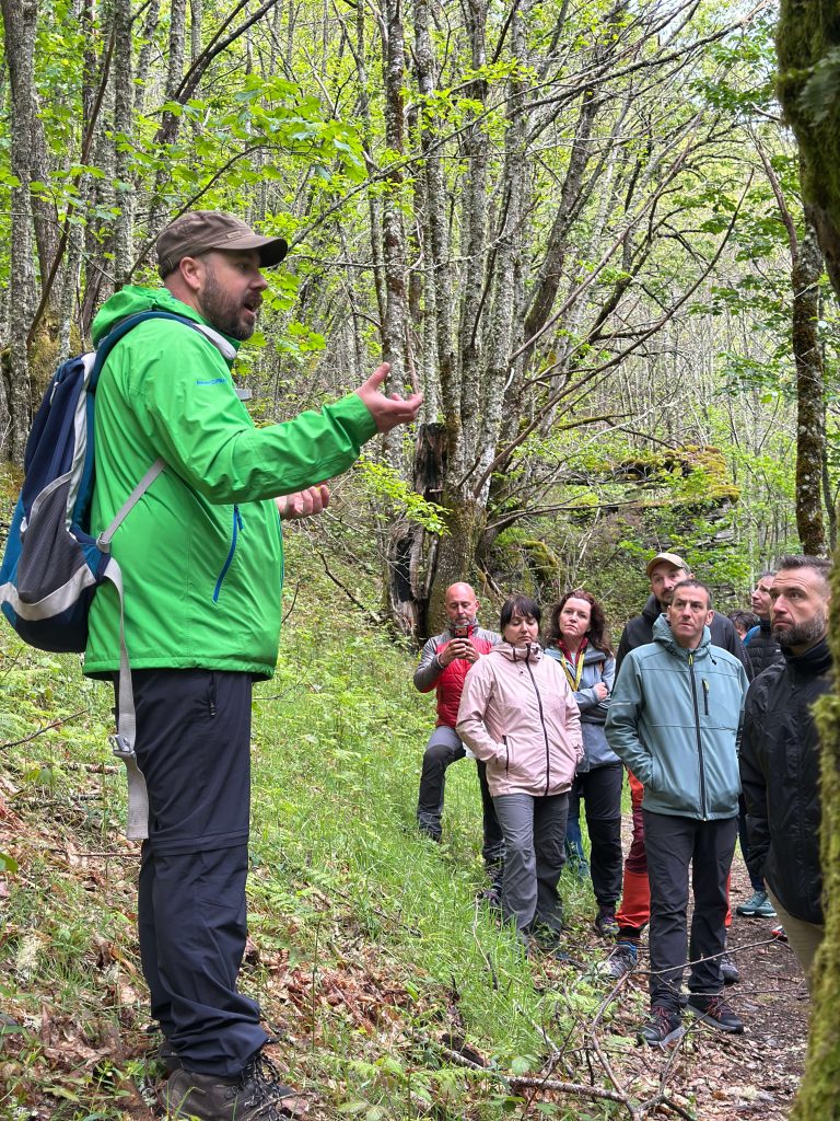 Guía interpretando el bosque durante una actividad con participantes de un evento para solteros en Galicia.